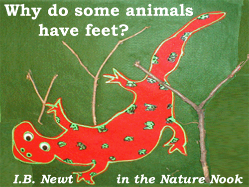 IB Newt ~ Feet?